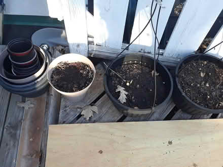 Photo of free Several planting pots (Champlain Park/Westboro) #1