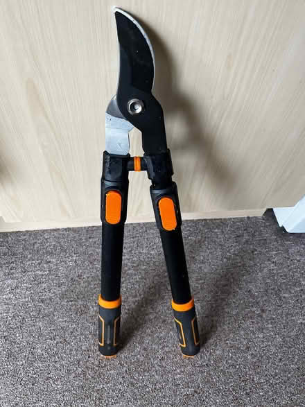 Photo of free Extended Pruner (Christchurch BH23) #1