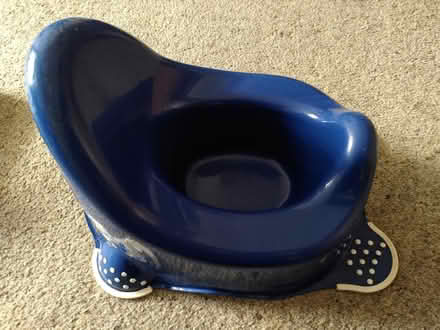 Photo of free Potty (Ecclesall, S11) #2