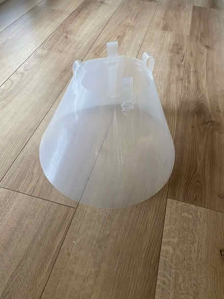 Photo of free Dog Cone (Preston Village NE29) #1