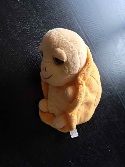 Photo of free Tortoise soft toy (Burgess Hill) #1