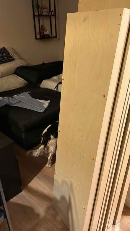 Photo of free Book shelf (SE23) #2