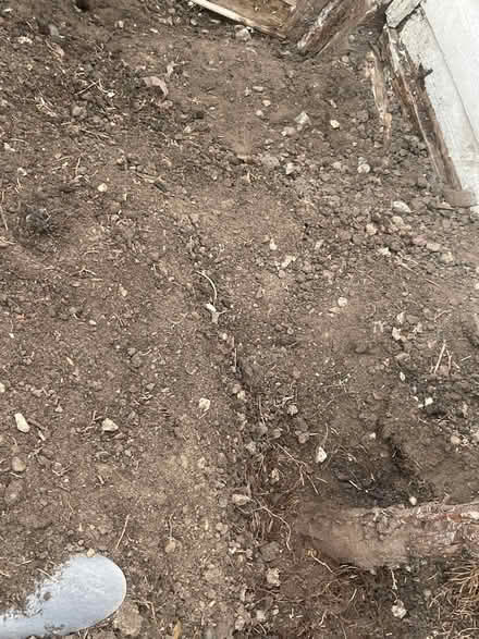 Photo of free Soil (Wokingham RG41) #1
