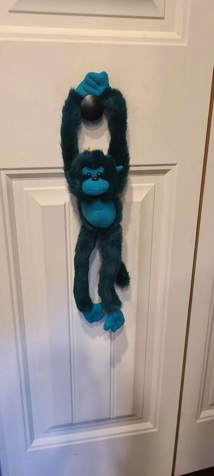 Photo of free Hanging monkey toy (Mavis and burnhamthorpe) #1