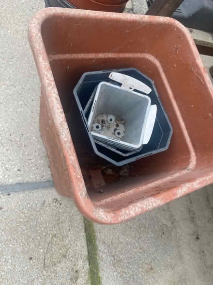 Photo of free Assorted plastic pot containers (N14 Oakwood Park) #2