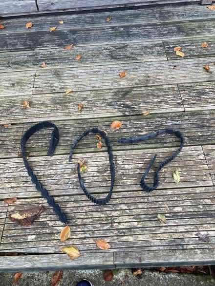 Photo of free 3 Tree ties (Willingdon BN20) #1