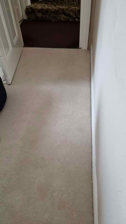Photo of free Carpet offcuts, Champagne colour (St Margarets TW1) #2