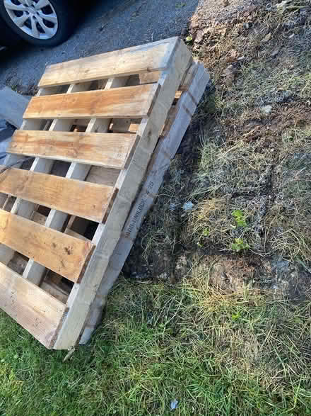 Photo of free 2 pallets excellent condition (Ijamsville 21754) #2