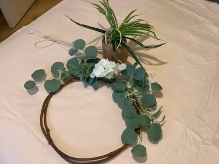 Photo of free Artificial plants (White City W10) #1