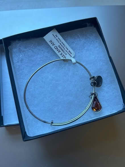 Photo of free Alex and Ani November bracelet (Lexington Center) #1