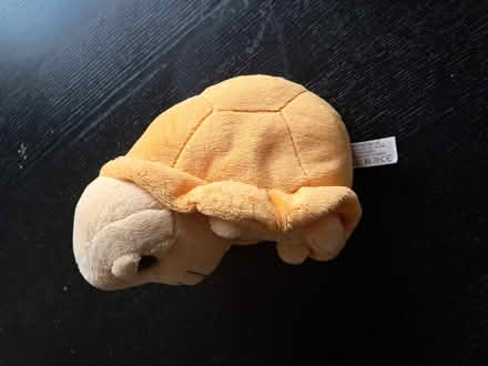 Photo of free Tortoise soft toy (Burgess Hill) #2