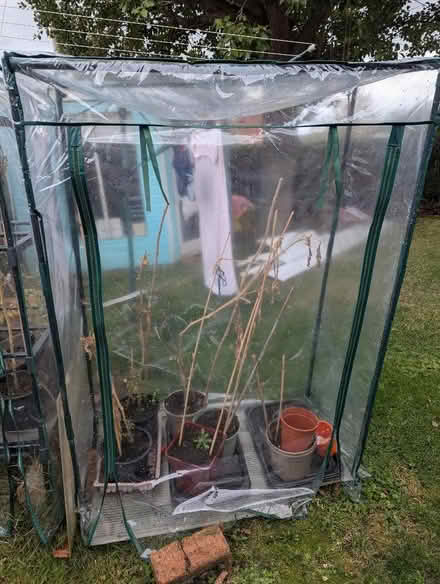 Photo of free Plastic greenhouse (Craiglockhart EH14) #1