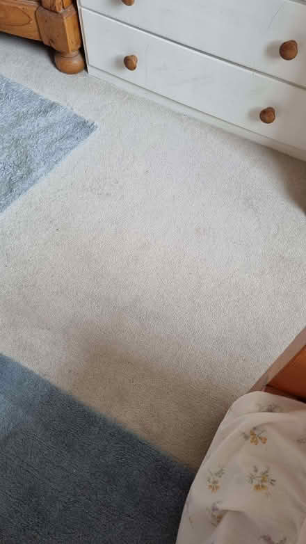 Photo of free Carpet offcuts, Champagne colour (St Margarets TW1) #3
