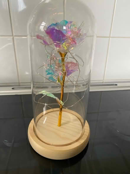 Photo of free Light up rose (SE12 lee) #1