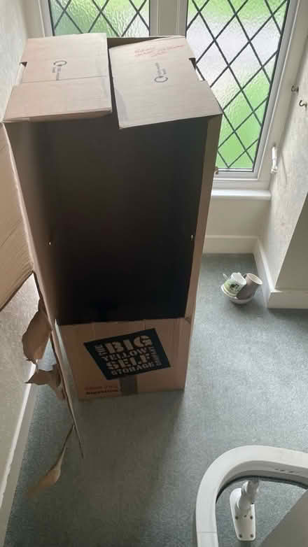Photo of free Single wardrobe box with rail (West End KT10) #1