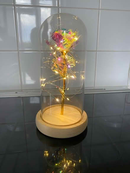 Photo of free Light up rose (SE12 lee) #2