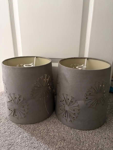 Photo of free Light shades x 2 (Manor castle, S2) #1