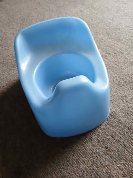 Photo of free Potty (West Hill TN34) #1