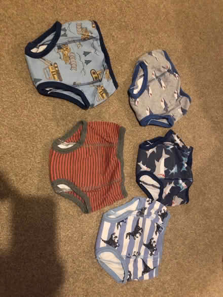 Photo of free Potty training pants 4T (West Meads PO21) #1