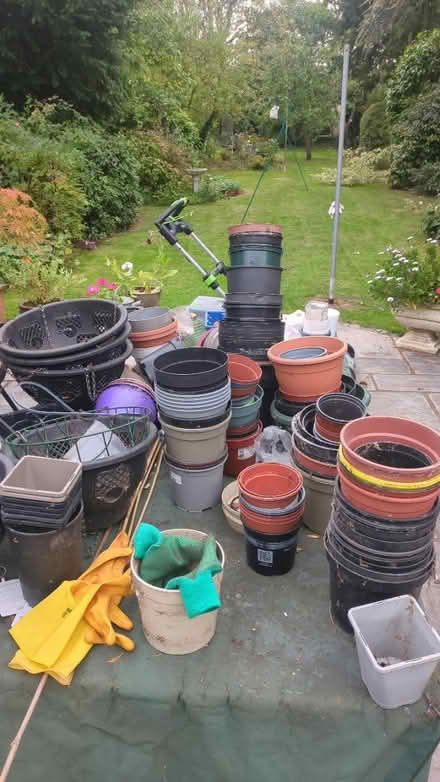 Photo of free Plastic plant pots galore (CM15 Shenfield) #1