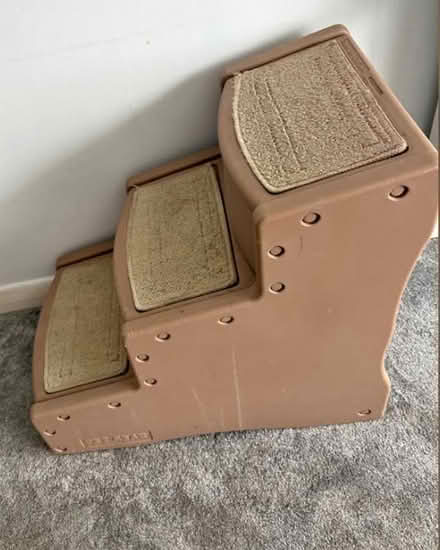Photo of SOS Dog Steps needed x (St Leonards TN38) #1
