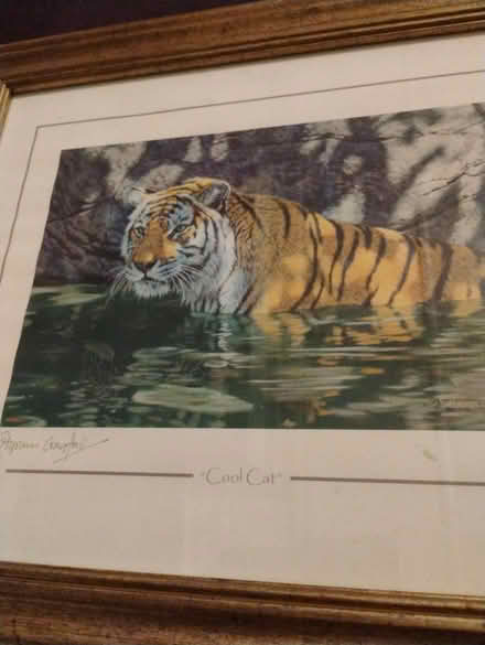 Photo of free CDs dvds books picture (TN34 blacklands) #1