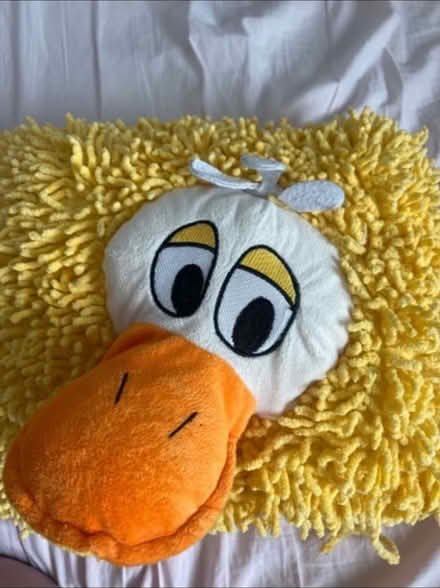 Photo of free Small duck plush cushion (KT1 Kingston upon Thames) #1