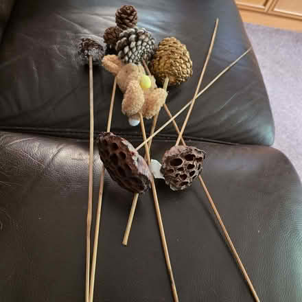 Photo of free 2acrylic luminous hedgehogs pine cones seed pods on canes (Clive Vale TN35) #3