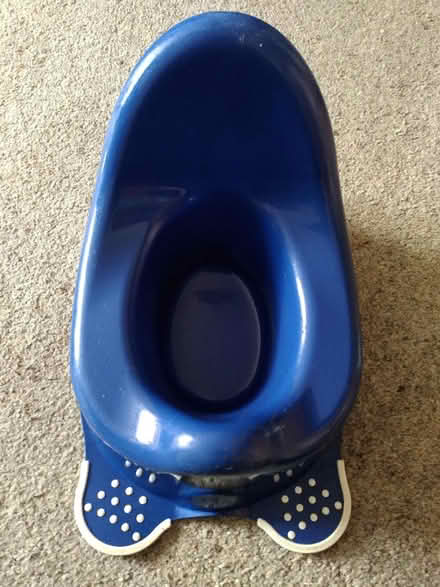 Photo of free Potty (Ecclesall, S11) #1