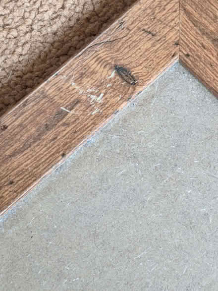 Photo of free Faux wood frame with glass and extra piece glass (Horspath OX33) #4