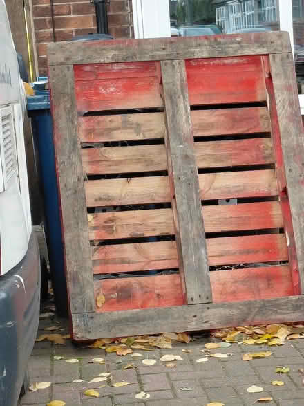 Photo of free Large strong pallet (Stafford ST17) #1