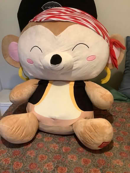 Photo of free Giant pirate mouse teddy? (White City W10) #1