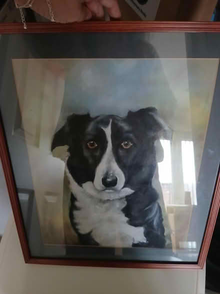 Photo of free Picture (MK41) #1