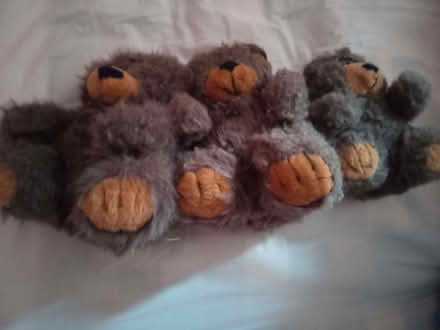 Photo of free Teddies (Askham CA10) #1