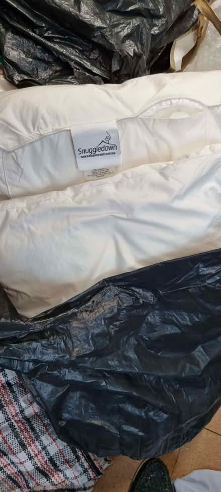 Photo of free Pillows (South Tonbridge TN9) #1