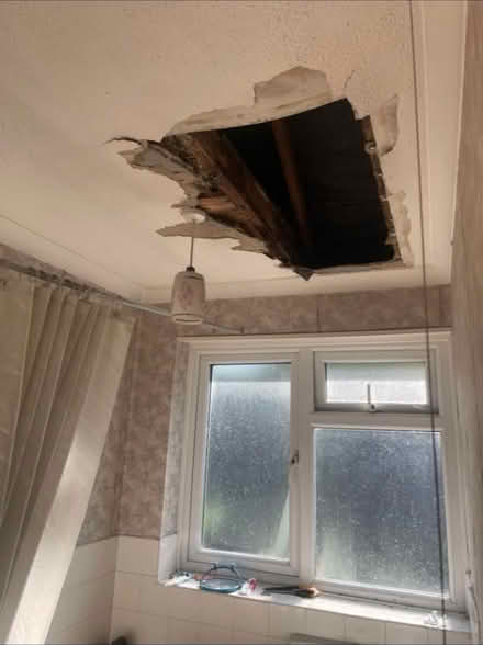 Photo of Wood (High Wycombe HP13) #1