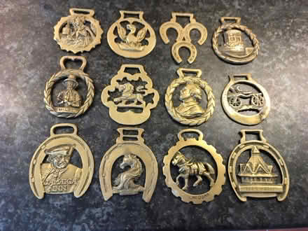 Photo of free Horse brasses (GU14) #1