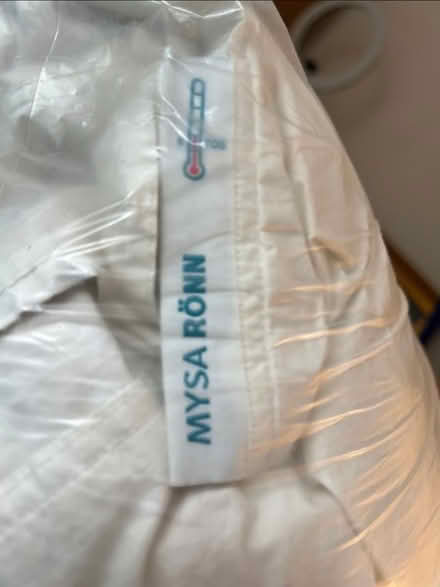 Photo of free Double feather Duvet & cover (SW11) #2