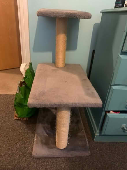 Photo of free Cats ladder (Tonbridge) #3