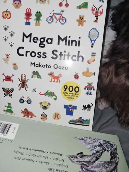 Photo of free Cross stitch books (DE24) #1