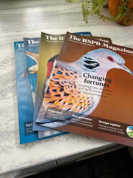 Photo of free RSPB bird magazines (Hayle TR27) #1