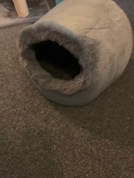 Photo of free Cats bed (Tonbridge) #3