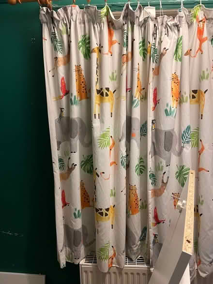 Photo of free Curtains (L19) #1