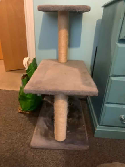 Photo of free Cats ladder (Tonbridge) #2