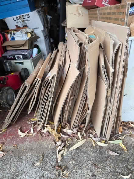 Photo of free Selection of Cardboard Boxes (RH5 North Holmwood, Dorking) #2