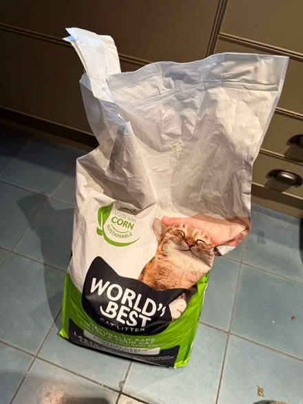 Photo of free Cat litter (E9) #1