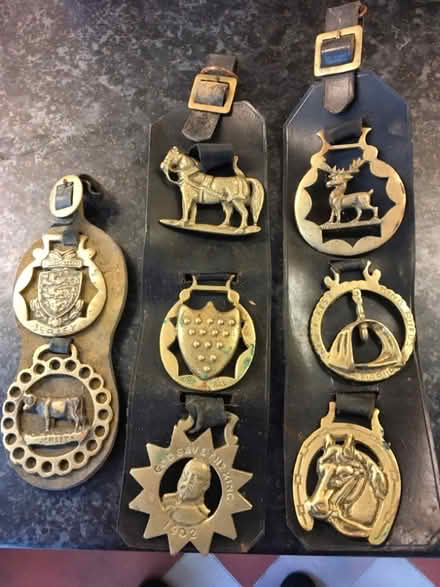 Photo of free Horse brasses (GU14) #2