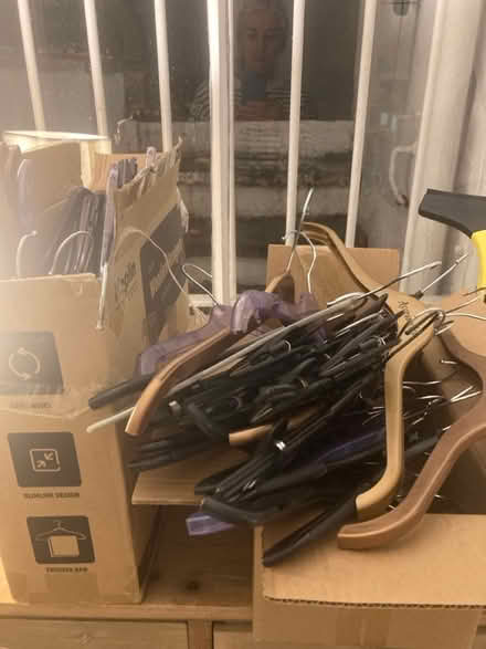 Photo of free Coathangers (Cheltenham) #1