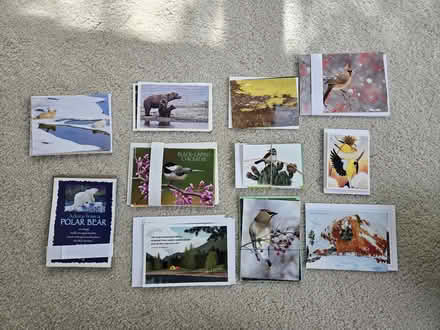 Photo of free Christmas, other cards + envelopes (South Pleasant Hill) #1