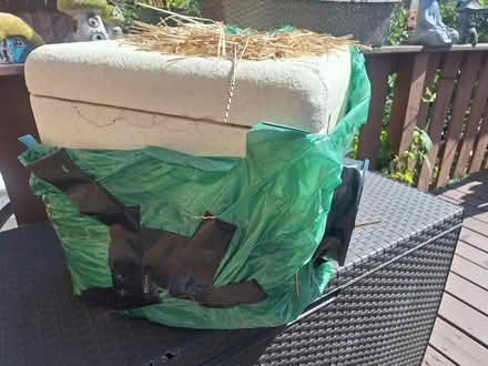 Photo of free Feral cat shelter (Villa park) #3